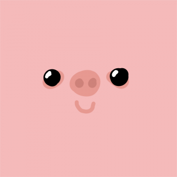 Piggy 1