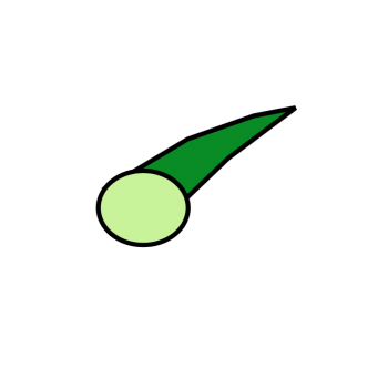 Dessin masqué