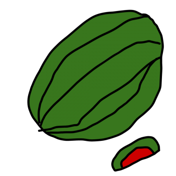 Melon d’eau